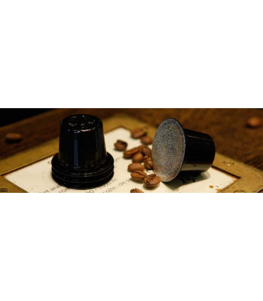 Capsul'in boîte de 100