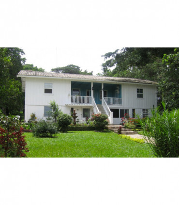 Café Panama Palmyra certifié Rainforest