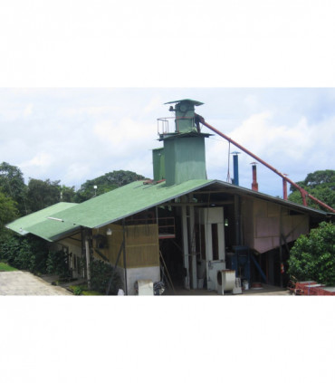 Café Panama Palmyra certifié Rainforest