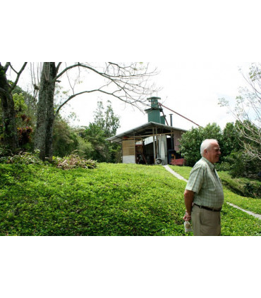 Café Panama Palmyra certifié Rainforest