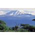 Café Tanzanie Kilimandjaro