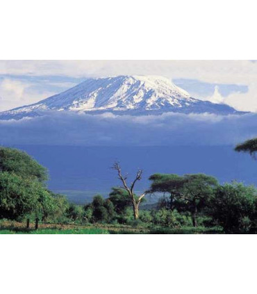 Café Tanzanie Kilimandjaro