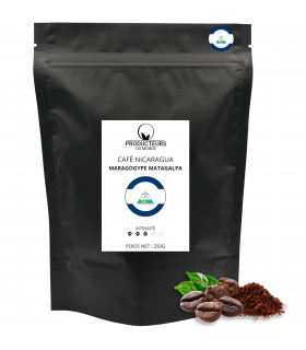 Café Nicaragua Maragogype Matagalpa