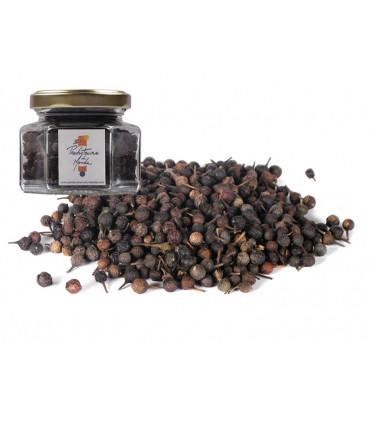 Poivre à queue Cubèbe